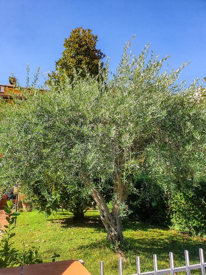 Villa Elsa, Cesena Zona Ippodromo Экстерьер фото
