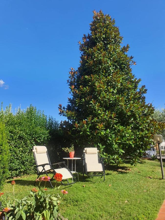 Villa Elsa, Cesena Zona Ippodromo Экстерьер фото