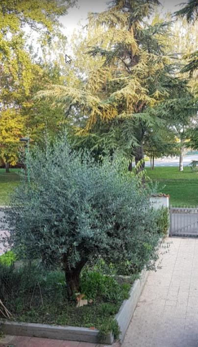 Villa Elsa, Cesena Zona Ippodromo Экстерьер фото