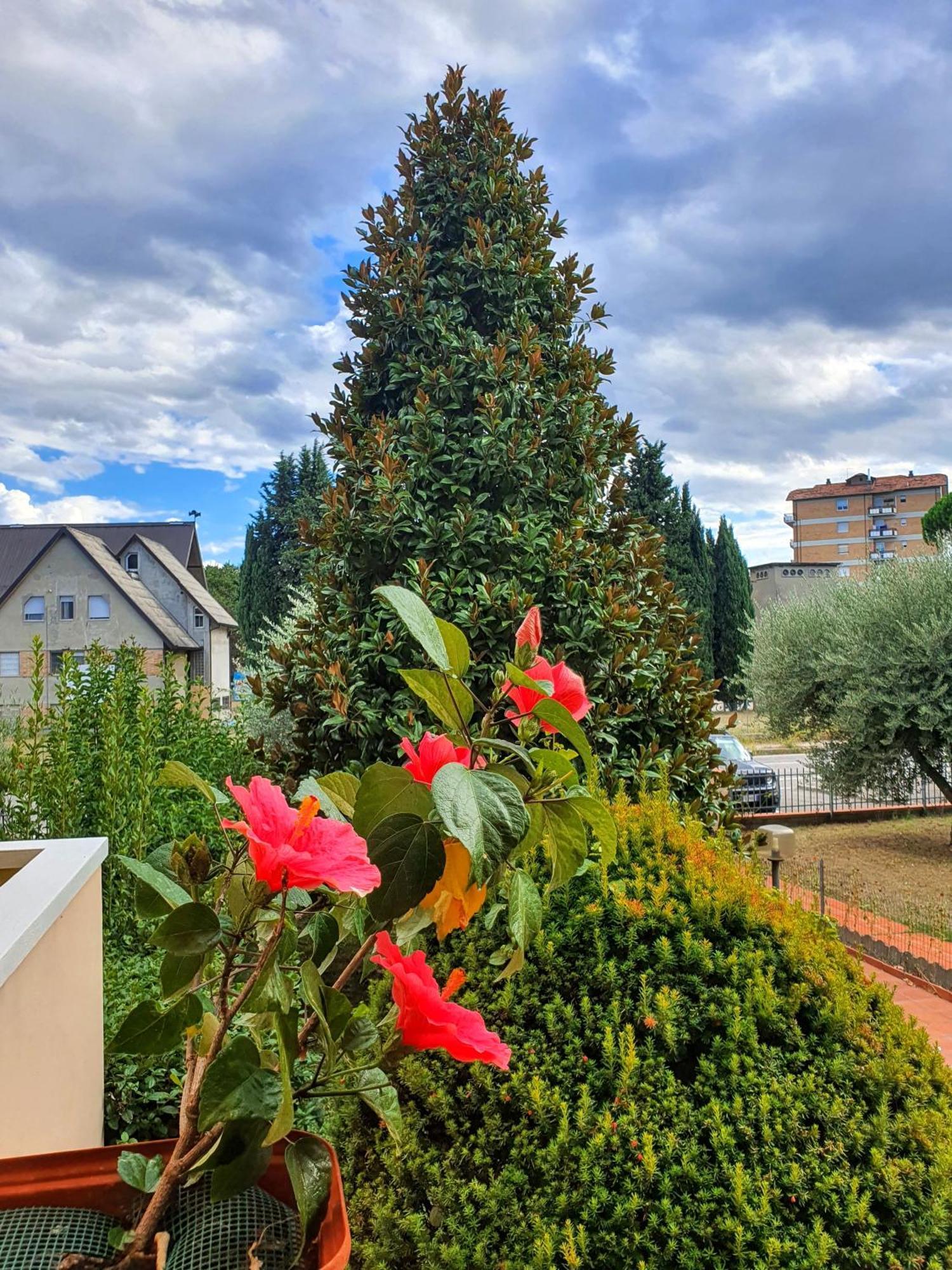 Villa Elsa, Cesena Zona Ippodromo Экстерьер фото