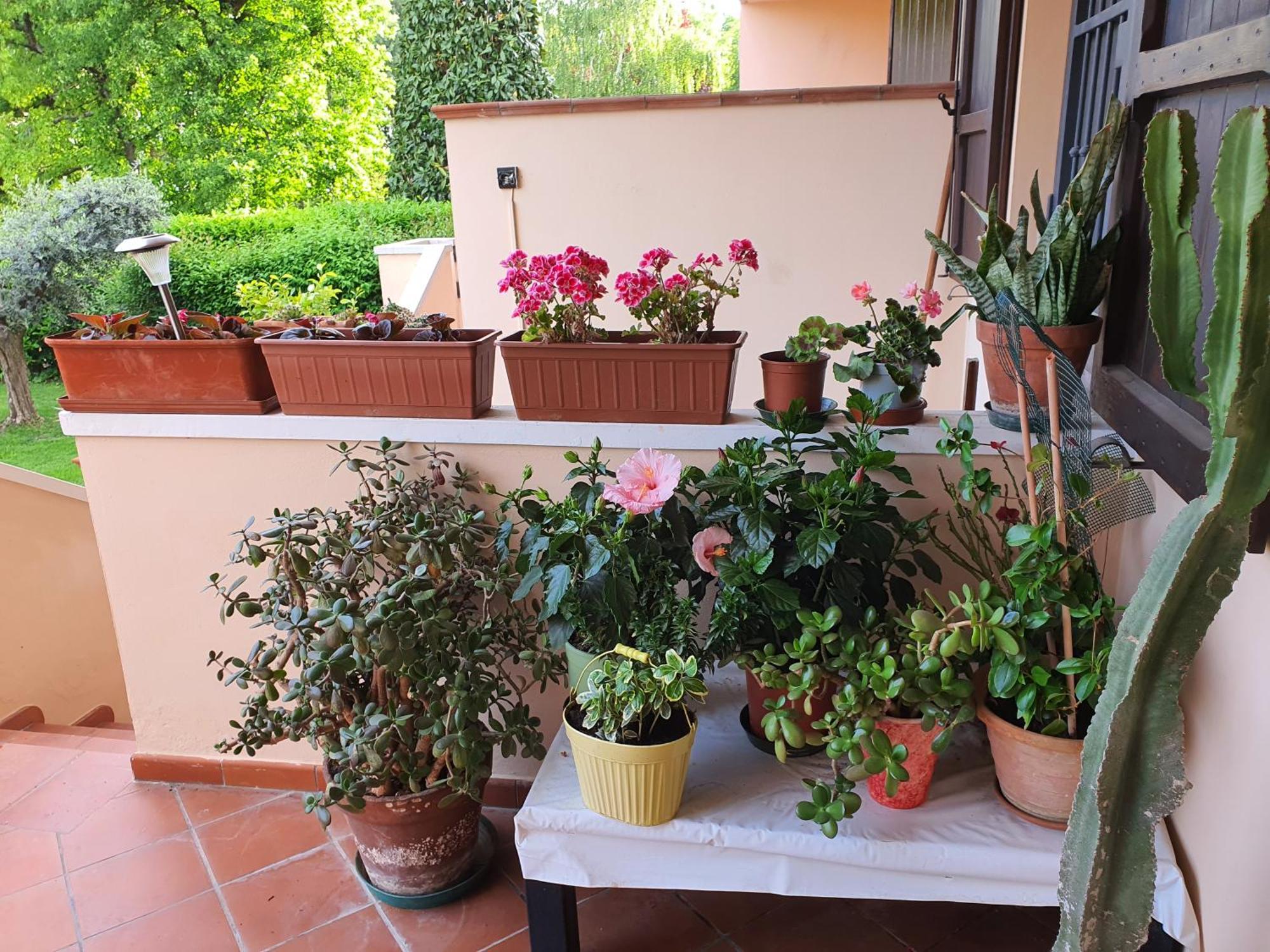 Villa Elsa, Cesena Zona Ippodromo Экстерьер фото