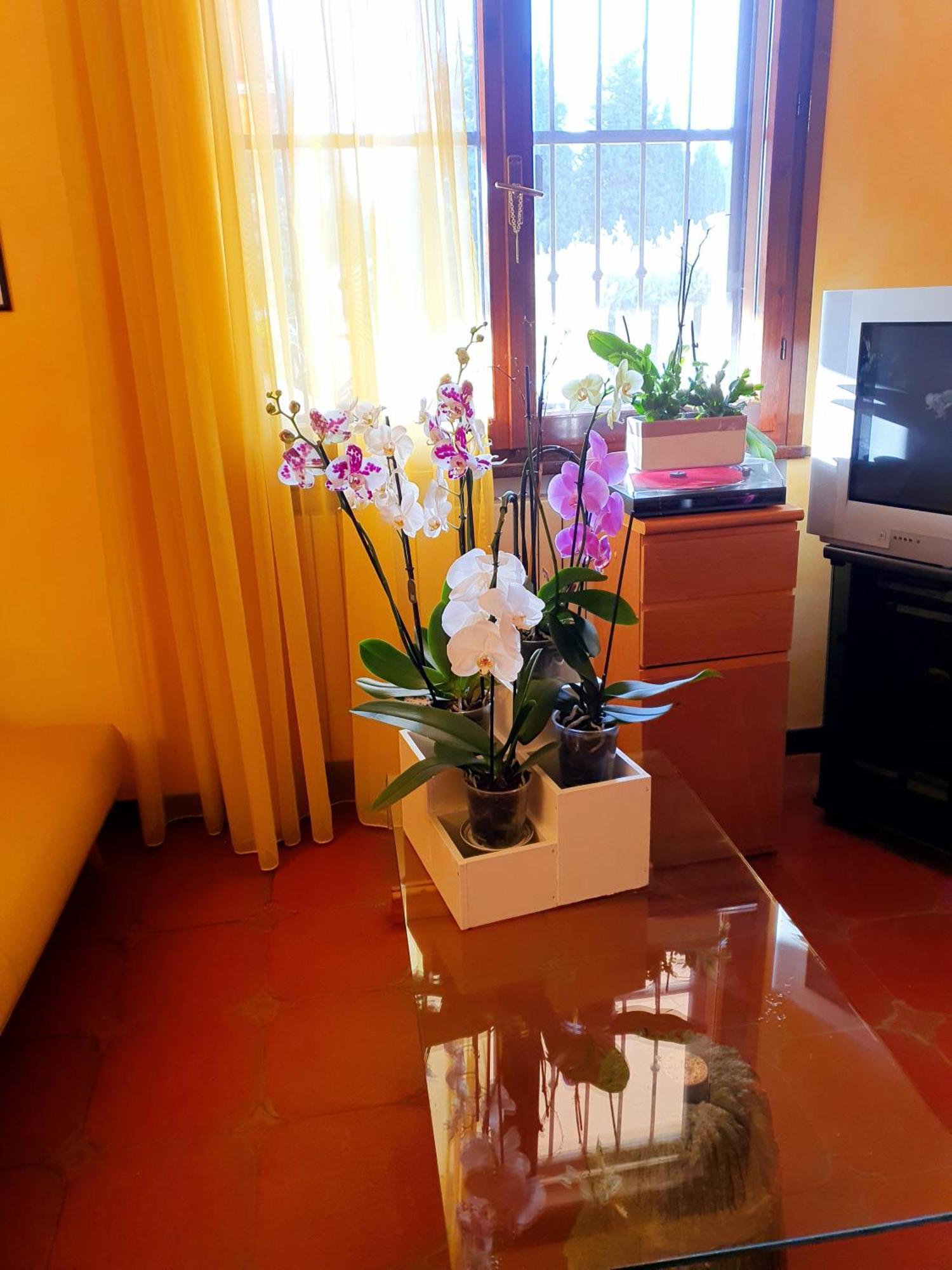 Villa Elsa, Cesena Zona Ippodromo Экстерьер фото